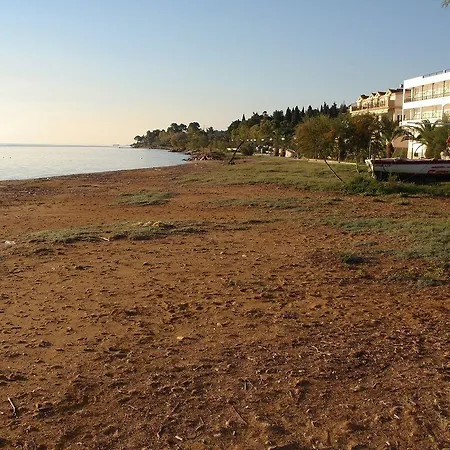 ホテル Aura Boutique 3*